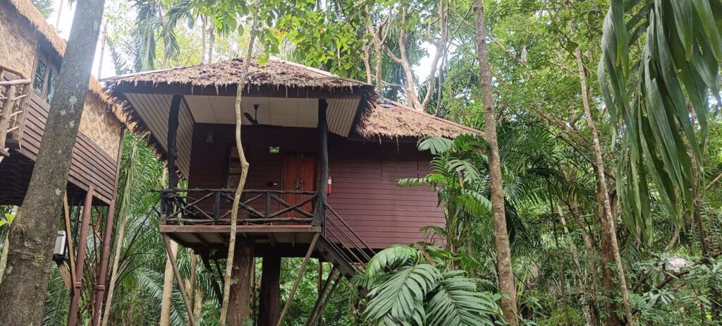 Treehouse in Khao Sok Paradise Resort