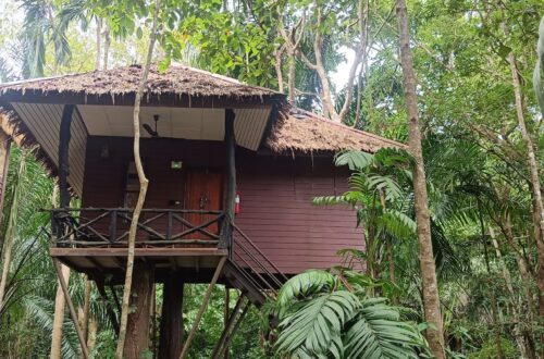 Treehouse in Khao Sok Paradise Resort