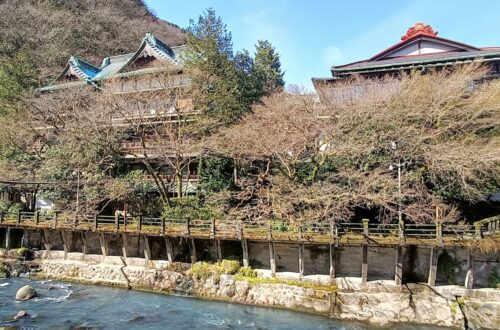 Motoyu Kansuiro Hakone - Vegan Friendly Ryokan, seen from the outside
