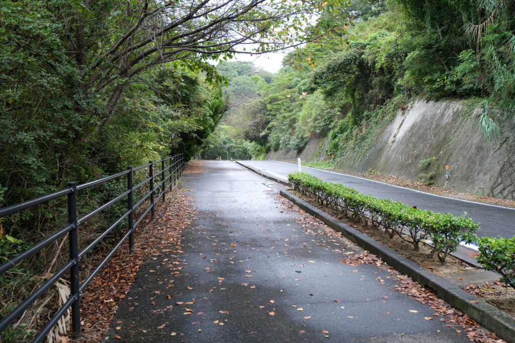 Shimanami Kaido in Autumn