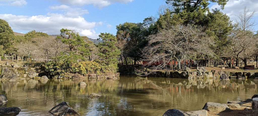 Nara Park