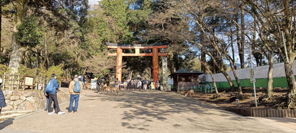 Nara Park