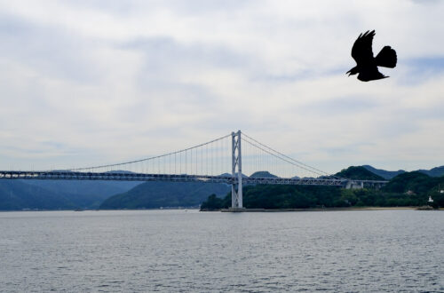 Bridge of the Shimanami Kaido