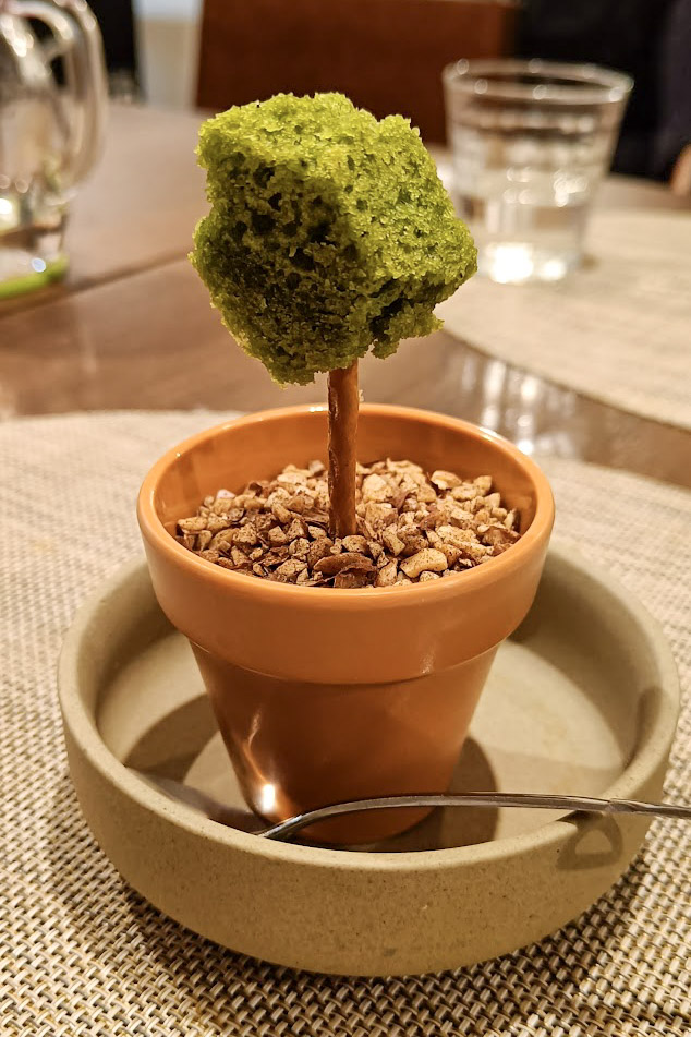 Vegan dessert served in a plant pot at saido tokyo