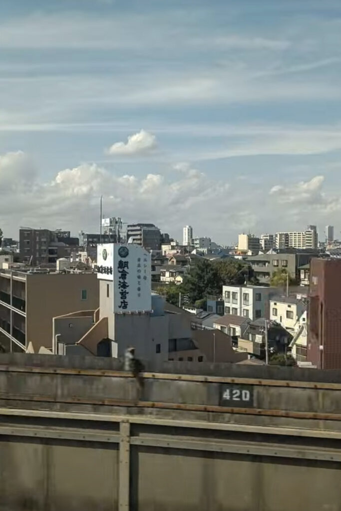 View of Tokyo from the train
