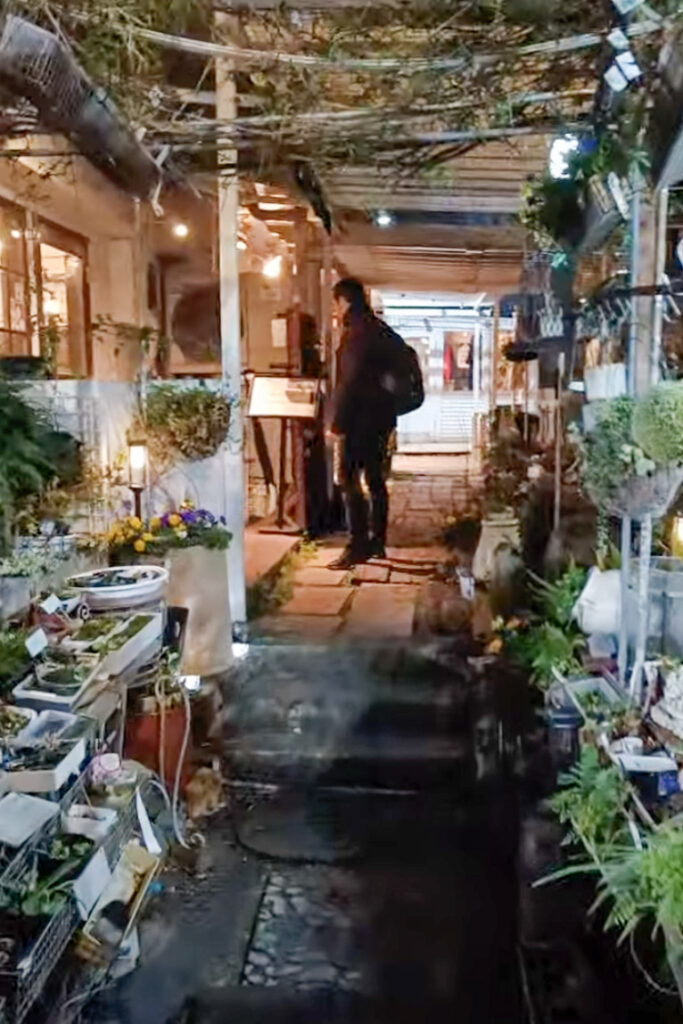 Entrance to Saido restaurant tokyo