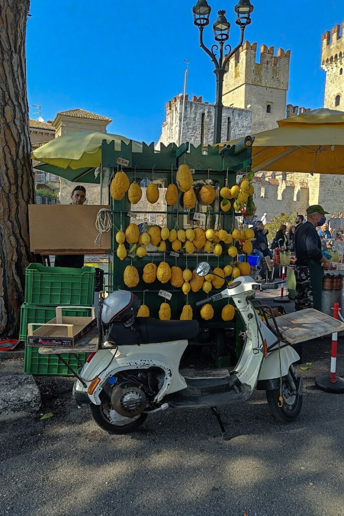 Sunny street lined with palm trees