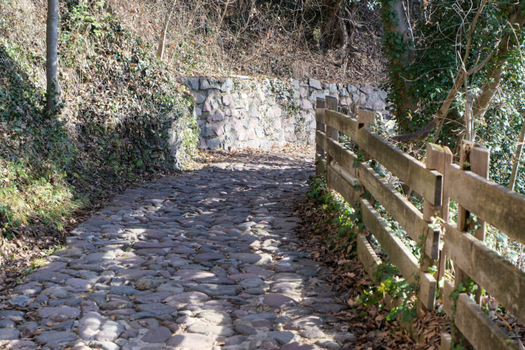 Path up to Castel Roncolo, Bolzano
