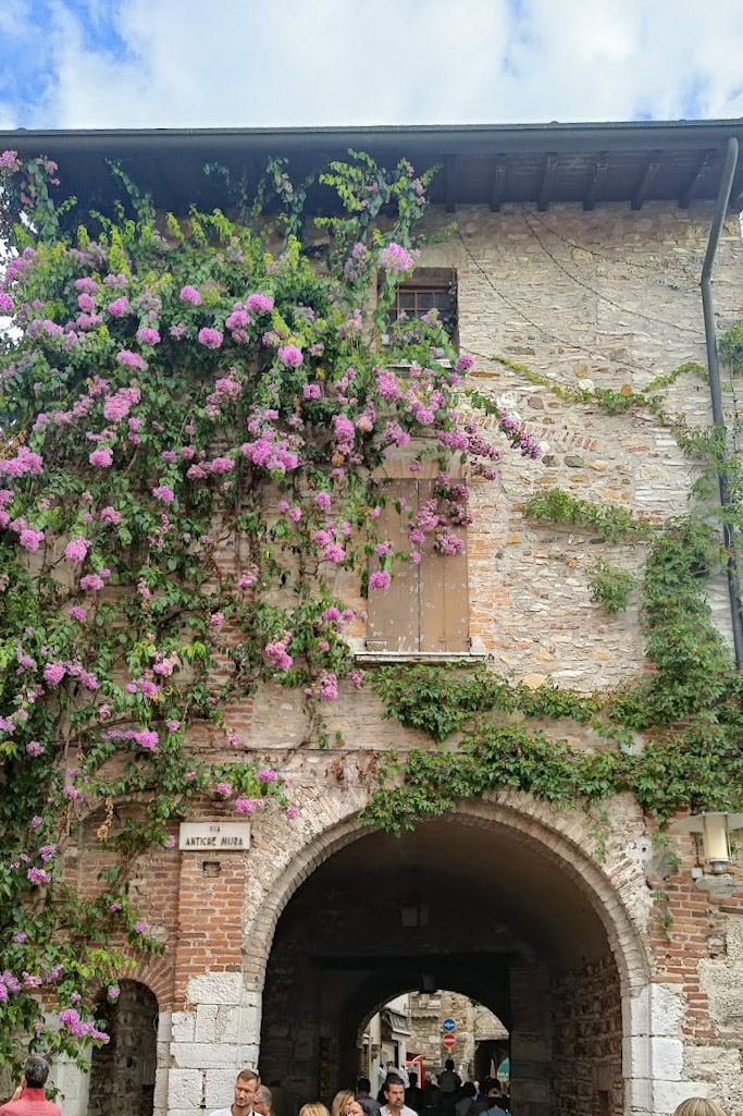 Building in Sirmione's old town covered in pink flowers.
