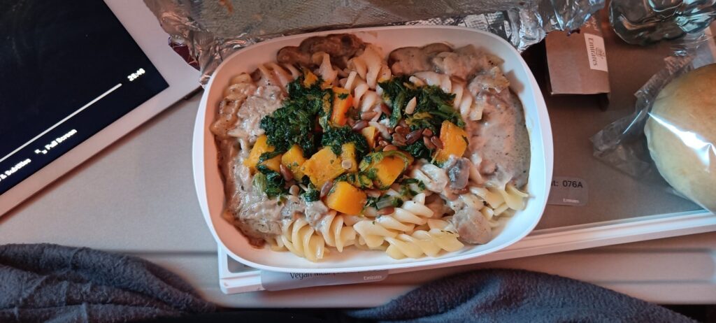 Inflight vegan meal on Emirates