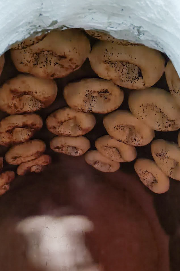 Uzbek non being cooked in a traditional clay tandir oven