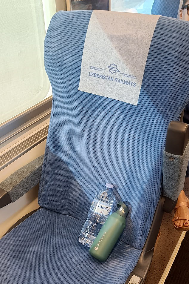 a train seat in business on the Afrosiyob in Uzbekistan