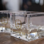 Japanese sake cups from a sake tasting in Kyoto at the Gekkeikan Museum in Fushima