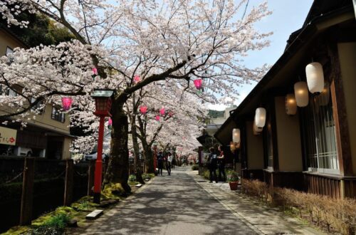Kinosaki onsen town, where you can find kinosaki vegan ryokan stays