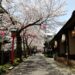Kinosaki onsen town, where you can find kinosaki vegan ryokan stays