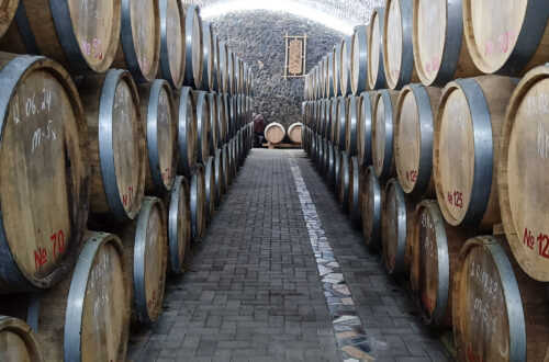 A row of wine barrels in the Bagizagan winery in Samarkand, Uzbekistan