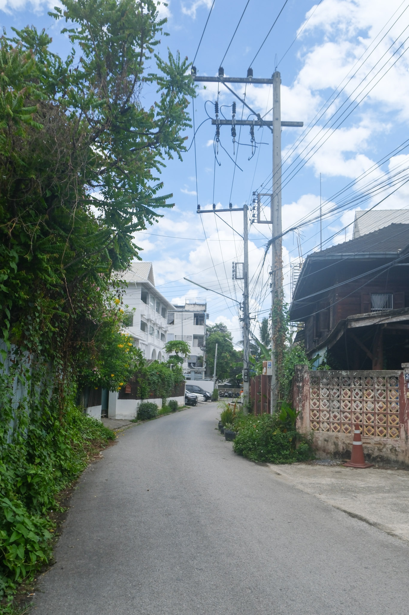 Narrow street with greenery and buildings